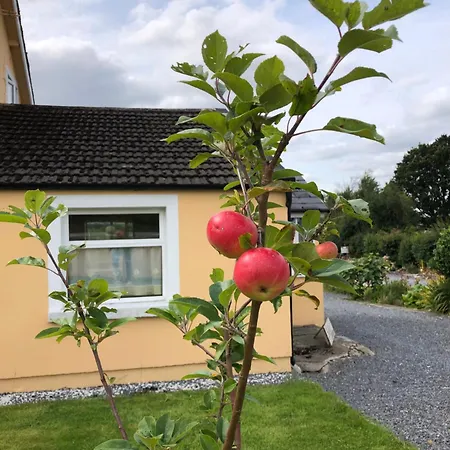 Mon Petit - And In B&B