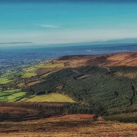 Mon Petit - And In Bed and Breakfast