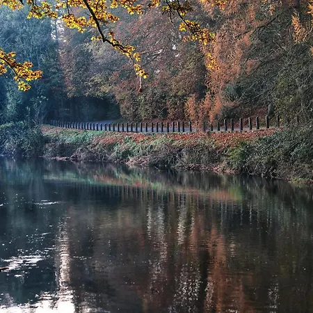 Mon Petit - And In Bed and breakfast Bunclody