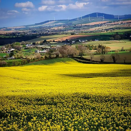 Alojamento de Acomodação e Pequeno-almoço Mon Petit - And In Bunclody