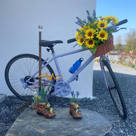 Mon Petit - And In 5* Bunclody