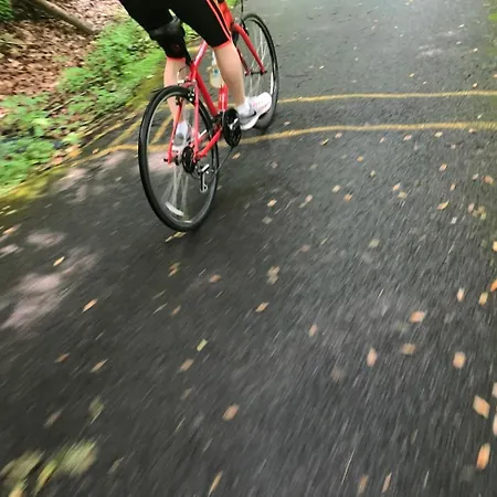 Mon Petit - And In 5* Bunclody