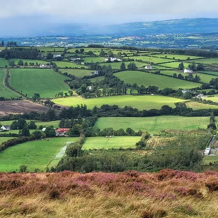 Mon Petit - And In Bed and Breakfast Bunclody
