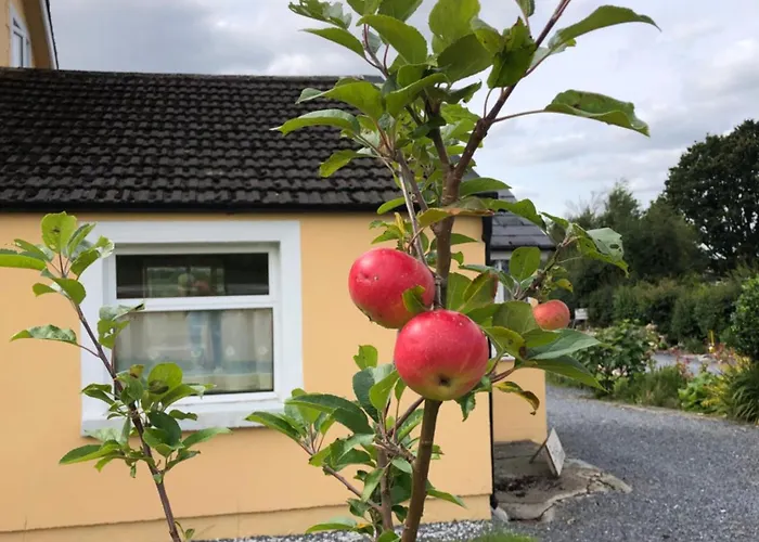 Mon Petit - And In Bed & Breakfast