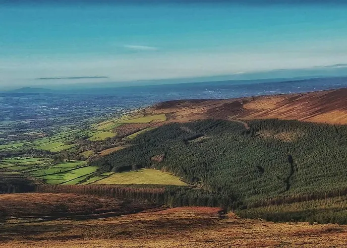 Mon Petit - And In Bed & Breakfast