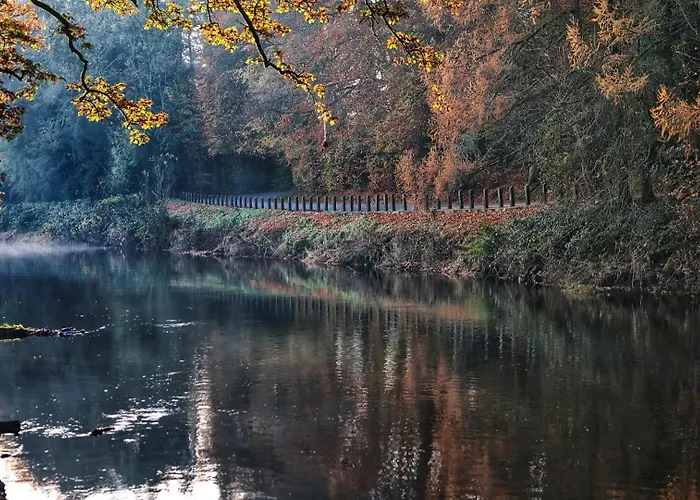 Mon Petit - And In Bed & Breakfast Bunclody