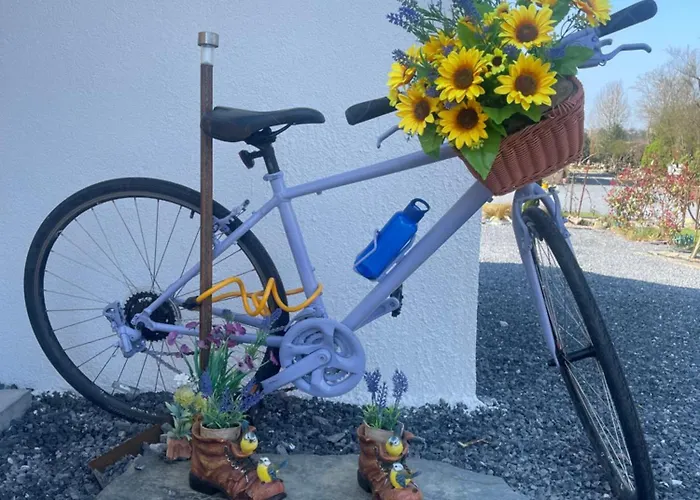 Mon Petit - And In 5* Bunclody