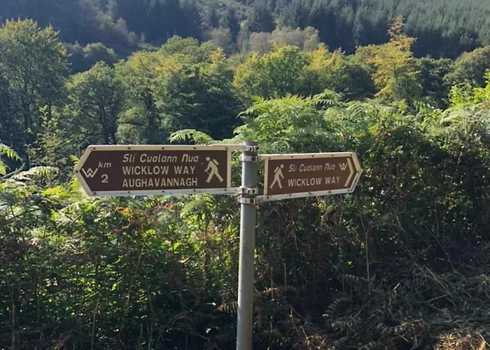 Bed & Breakfast Mon Petit - And In Bunclody