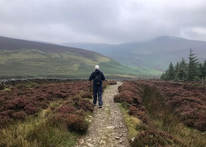 Mon Petit - And In 5*