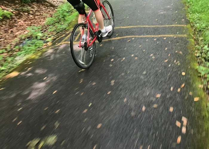 Mon Petit - And In 5* Bunclody