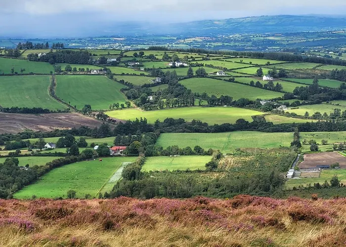 Mon Petit - And In Bed & Breakfast Bunclody
